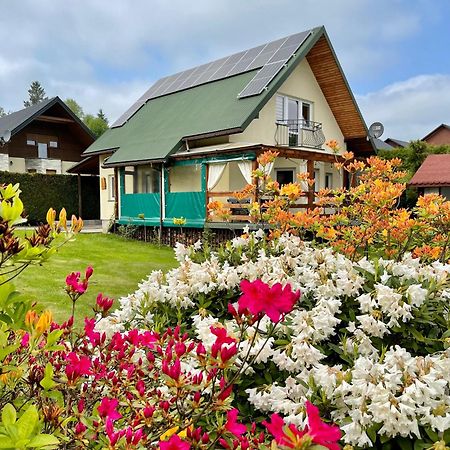 Polanczyk Dom, Apartamenty - Lesny Domek Polanczyk Bagian luar foto