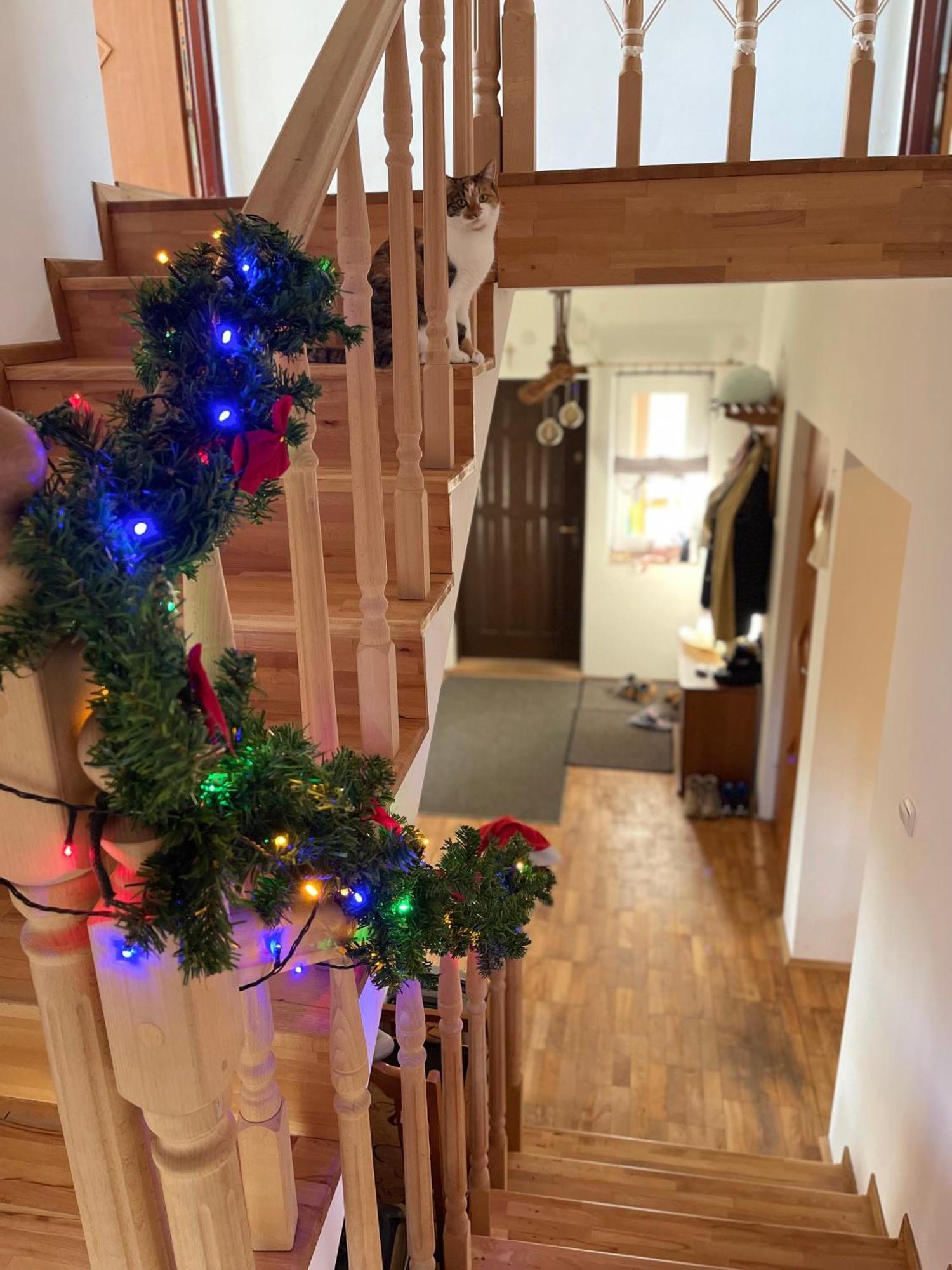 Polanczyk Dom, Apartamenty - Lesny Domek Polanczyk Bagian luar foto