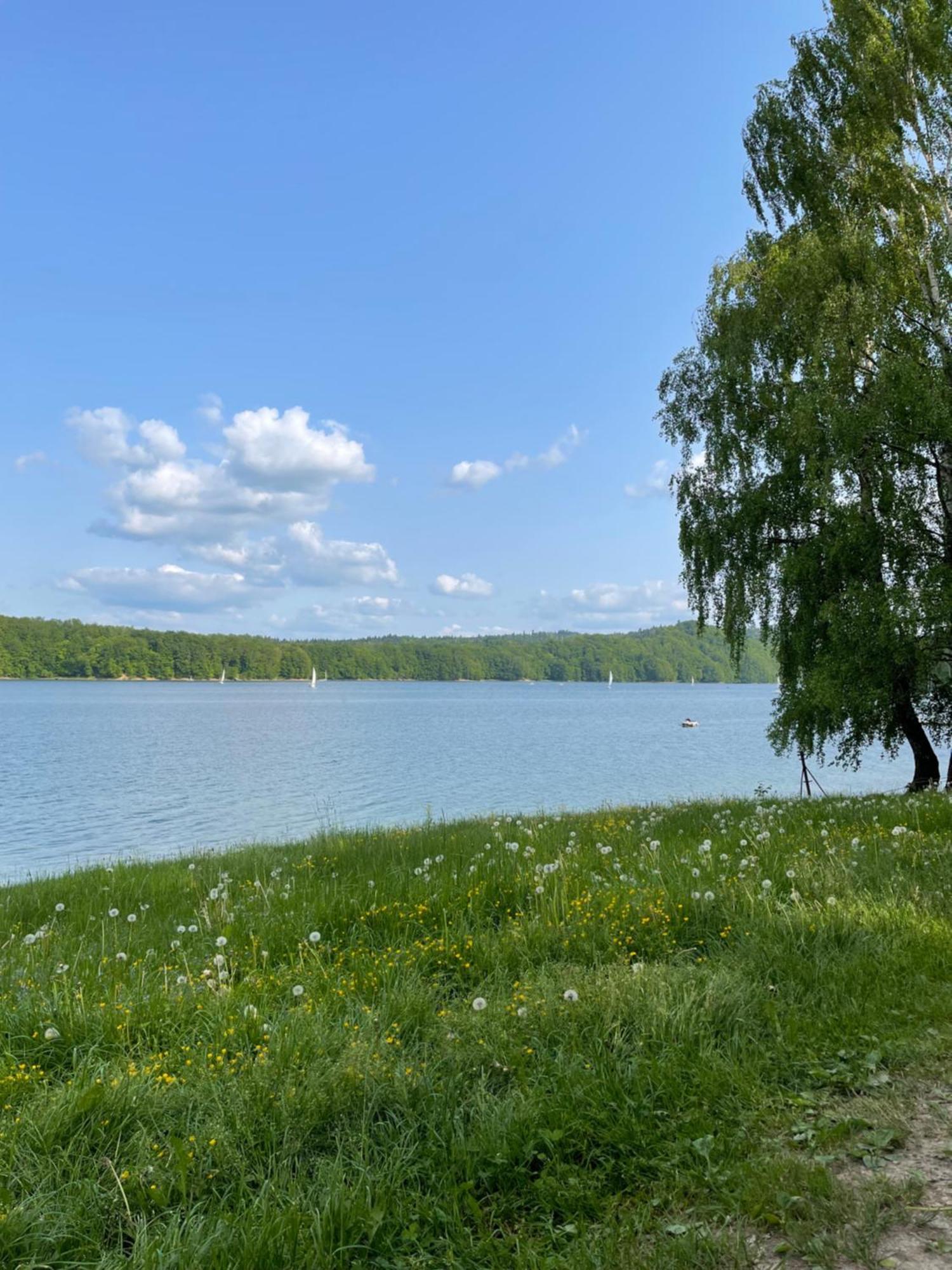 Polanczyk Dom, Apartamenty - Lesny Domek Polanczyk Bagian luar foto